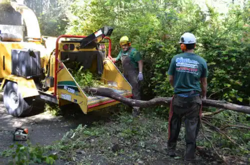 tree services Mundelein